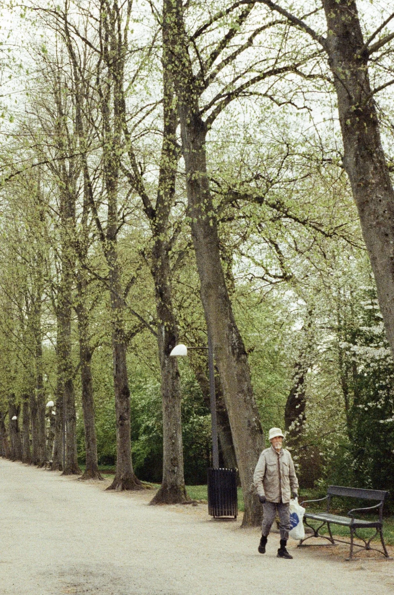 0447-01.jpg