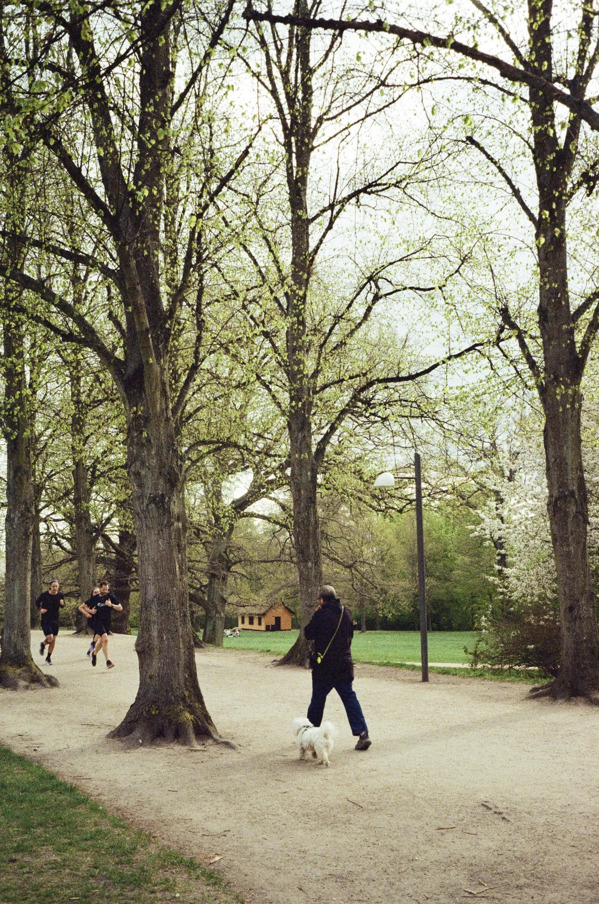 0447-05.jpg