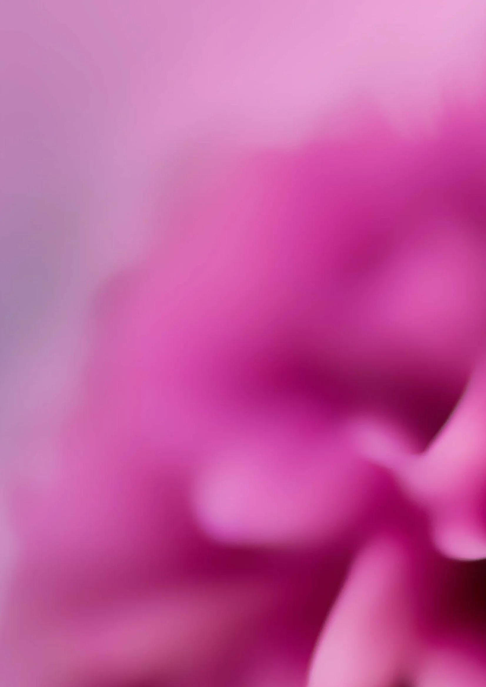 Klodea_Japanese CatalogueNew! 2.jpeg