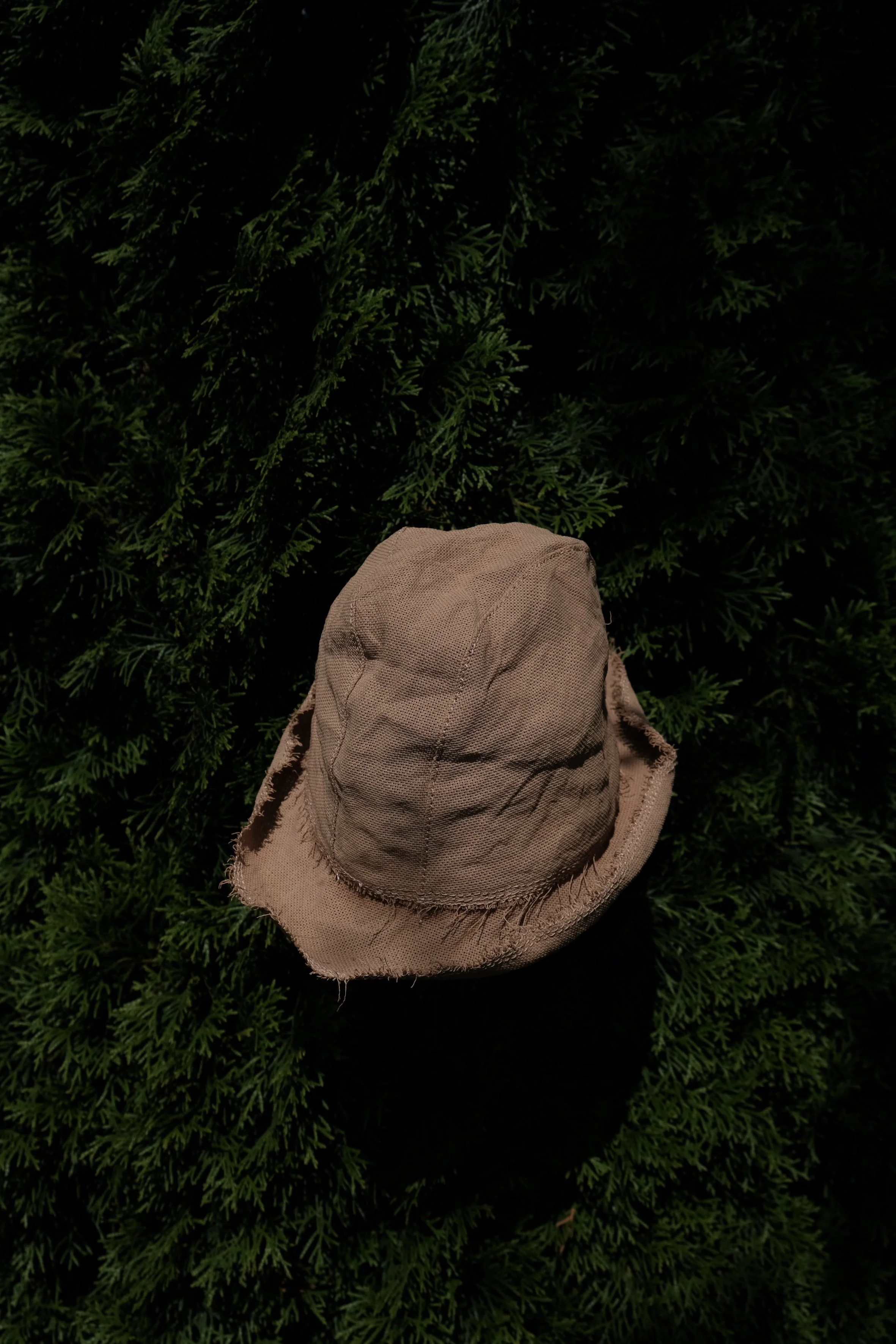 campo.JPG