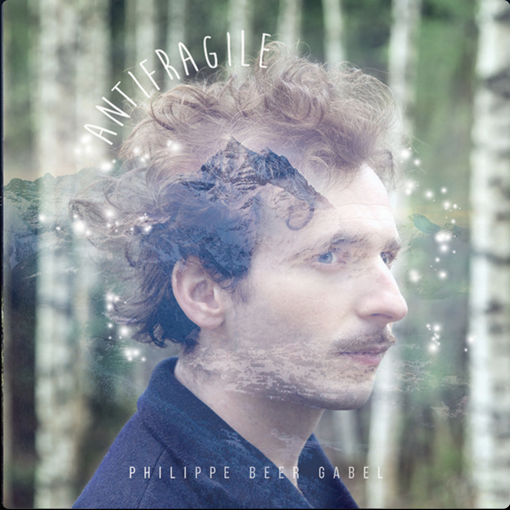 Philippe Beer Gabel - Antifragile