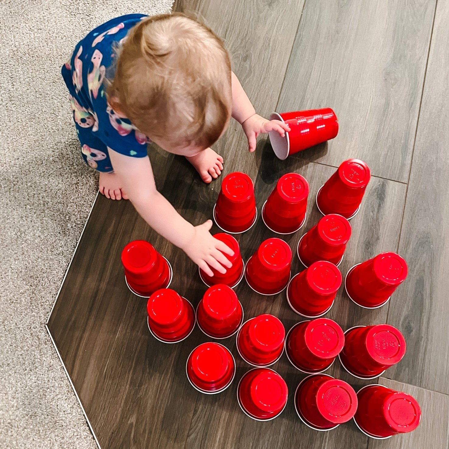 Rainy Hurricane Day Inside Activities For Young Toddlers Red Rose Rainy Hurricane Day Inside Activities For Young Toddlers Red Rose