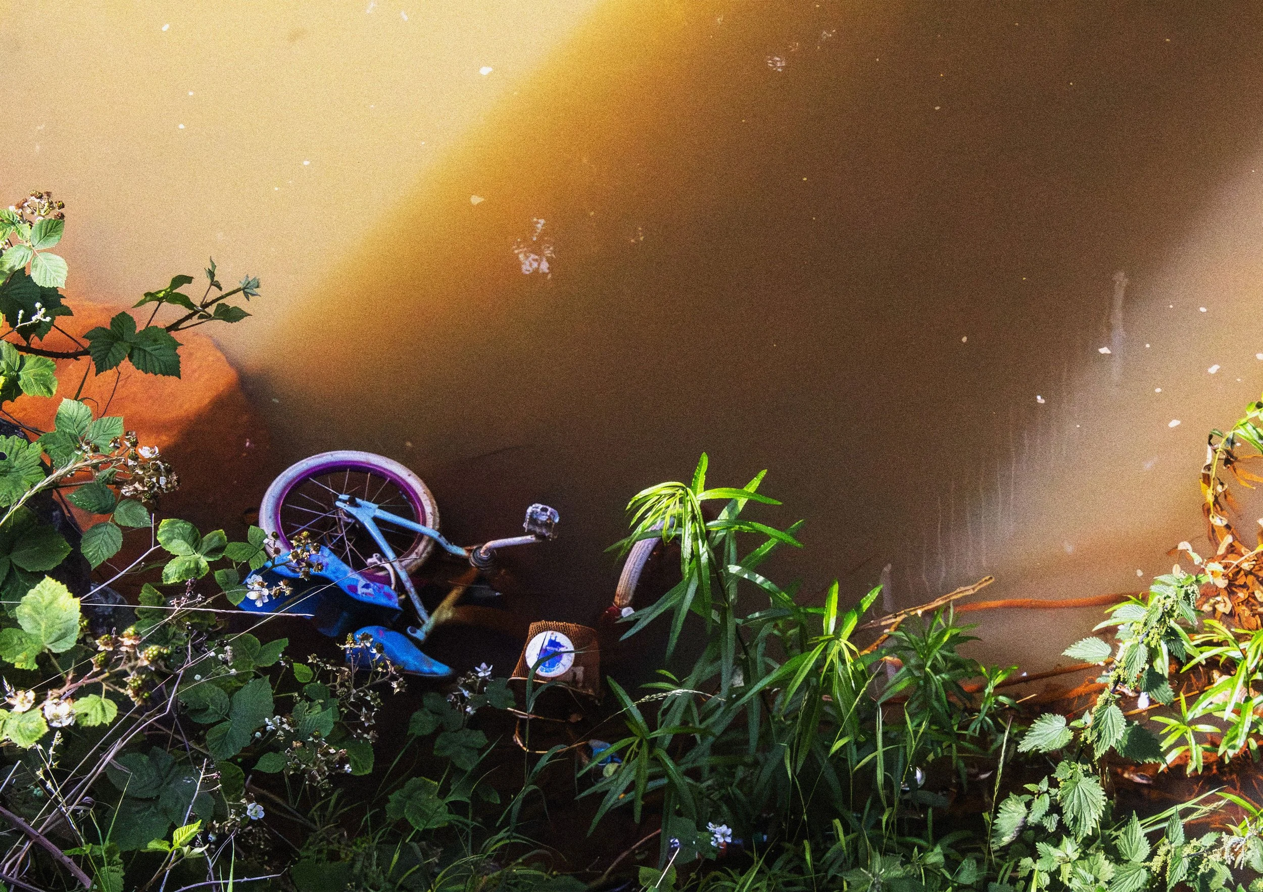 Alex Turford, Prior Pursglove