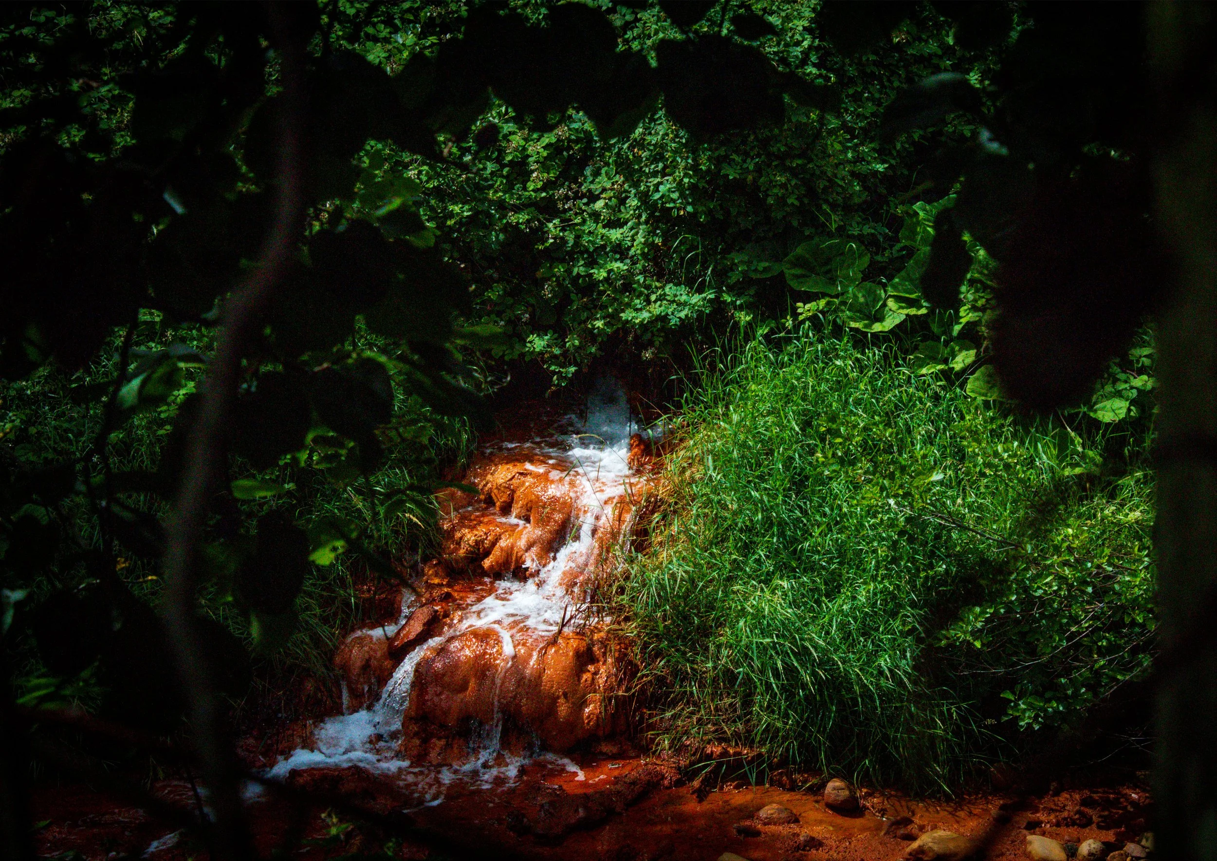 Alex Turford, Prior Pursglove