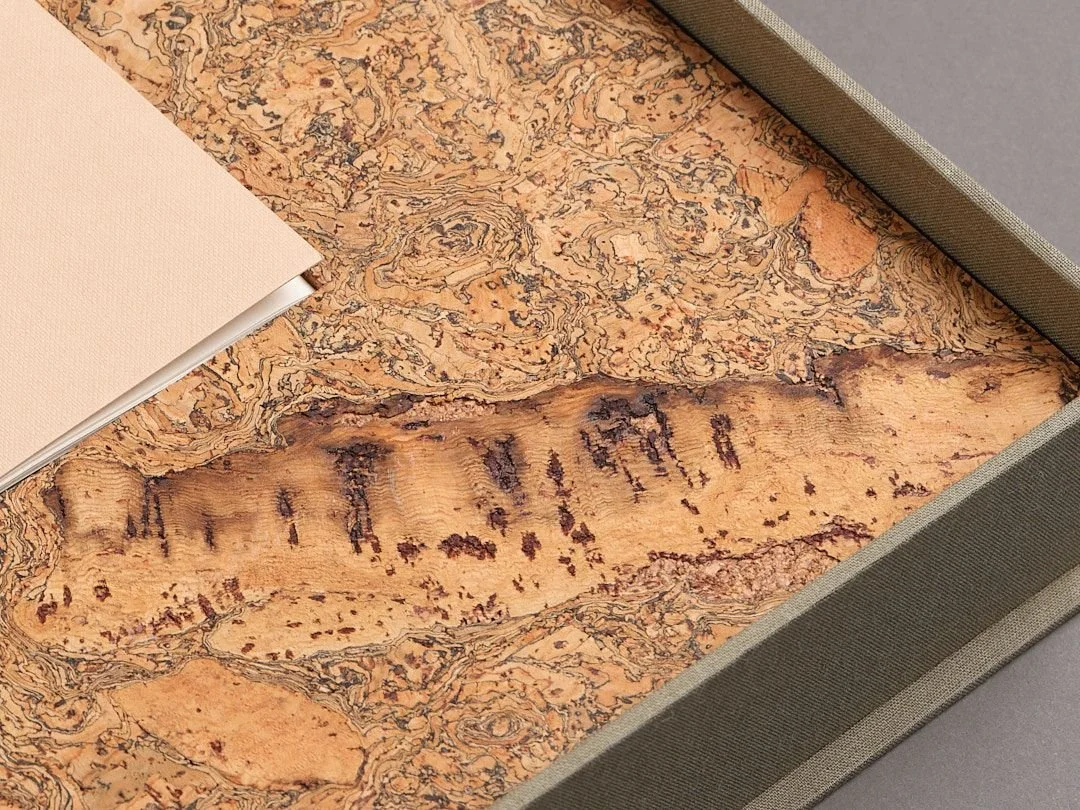 WhatsApp Image 2024-09-04 at 12.59.57.jpeg