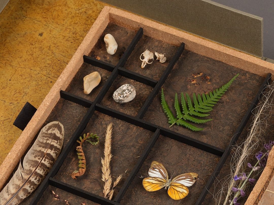 WhatsApp Image 2024-09-04 at 12.59.56.jpeg