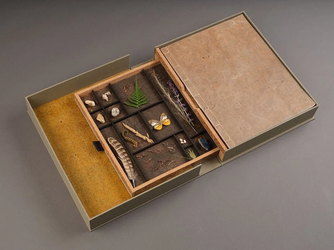 WhatsApp Image 2024-09-04 at 12.59.56 (1).jpeg