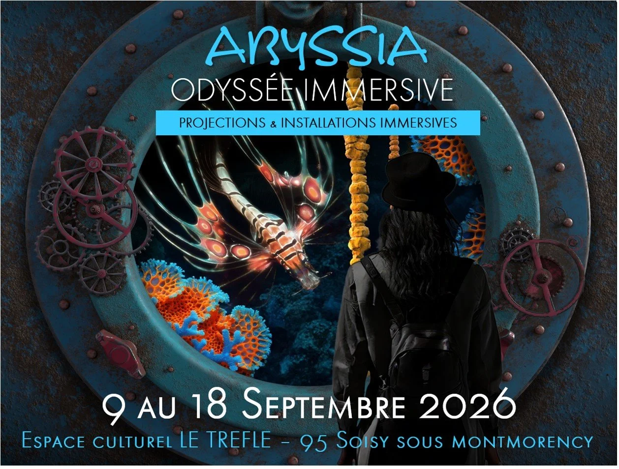 Les lumières solidaires - Abyssia