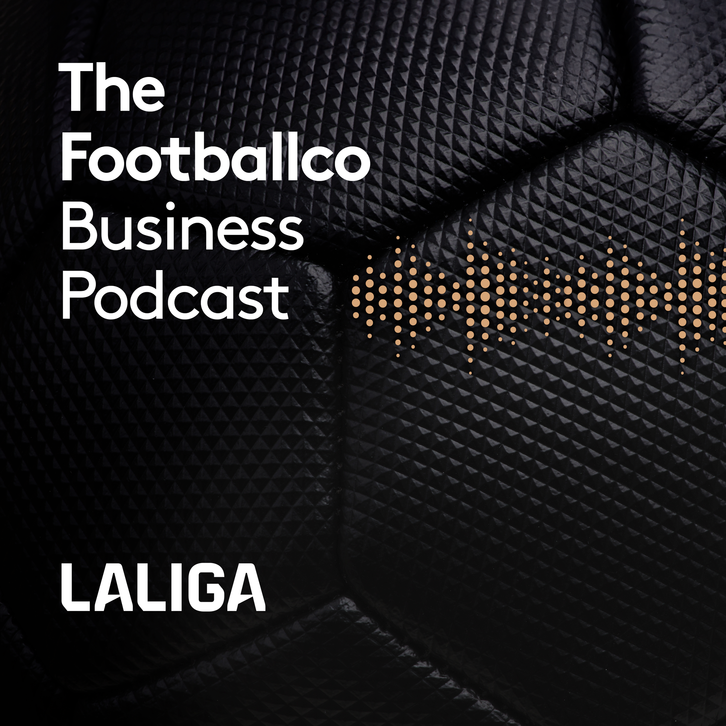 Nicolas Garcia Hemme: LaLiga North America