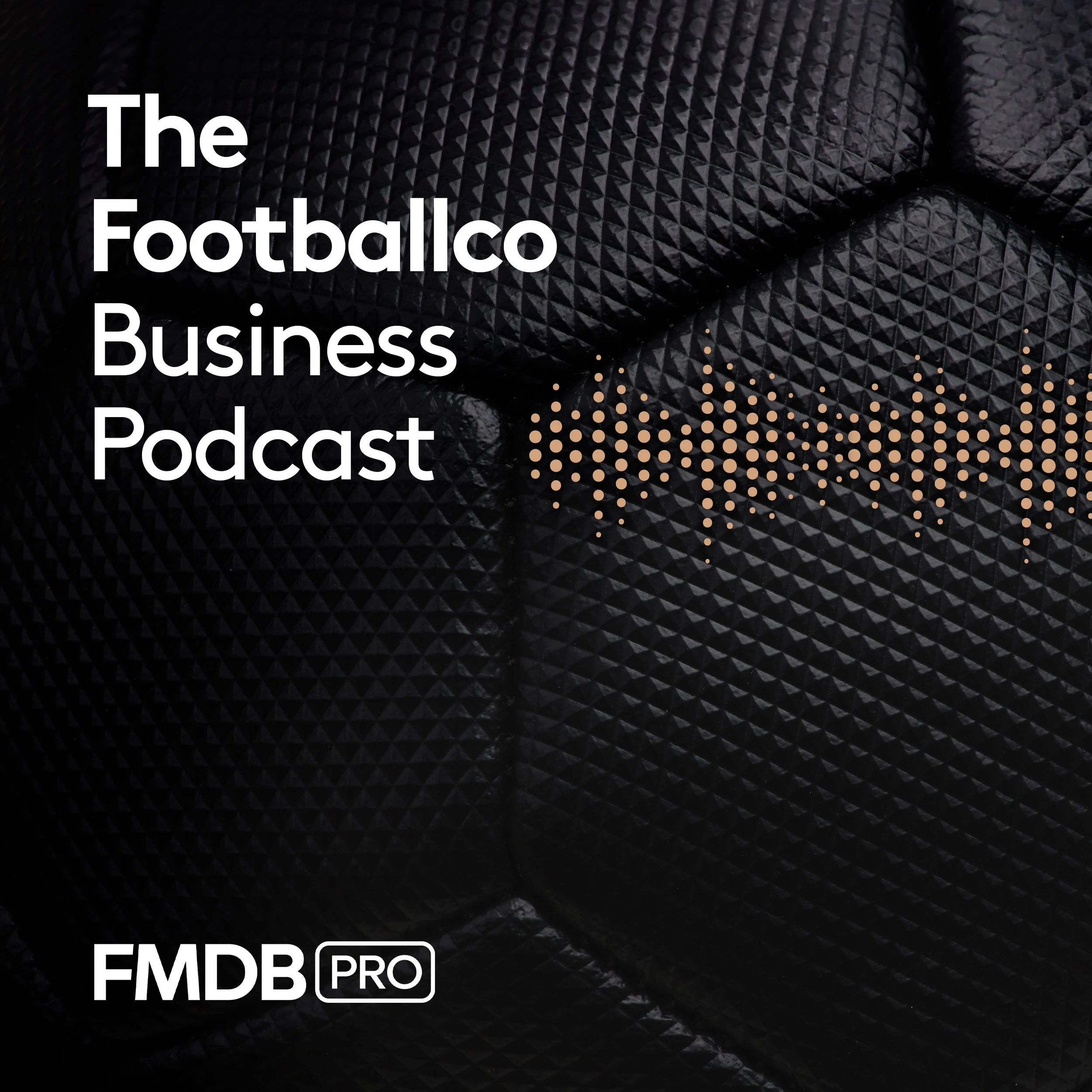 Sports Interactive’s FMDB Pro