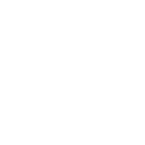GOAL - W.png