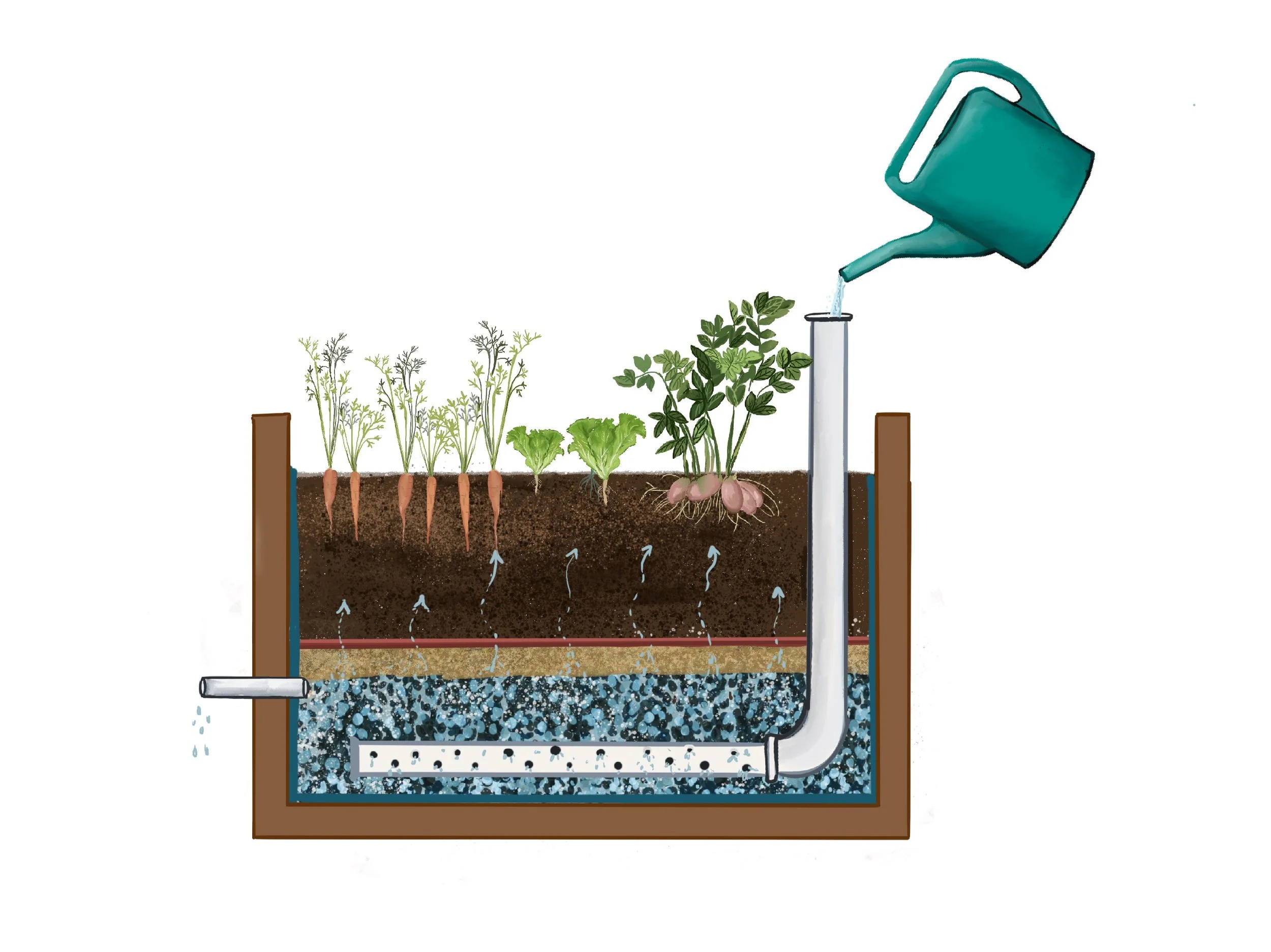 Wicking beds water storage illustration