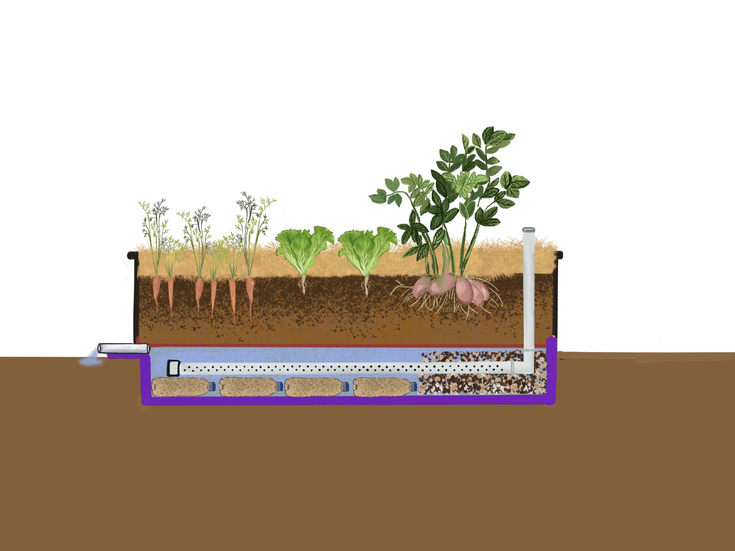 Wicking beds illustration for water conservation