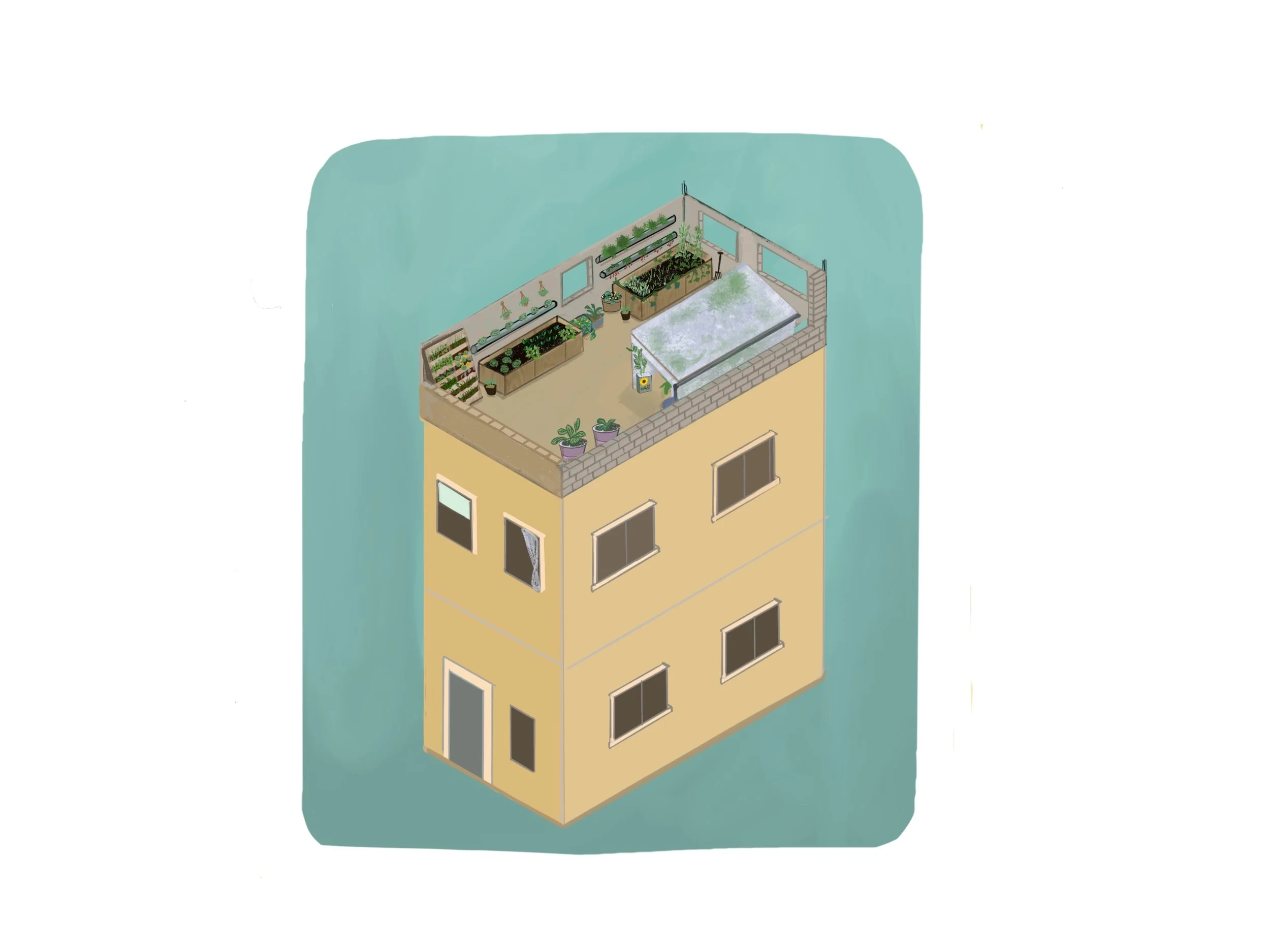 Roof top gardens 