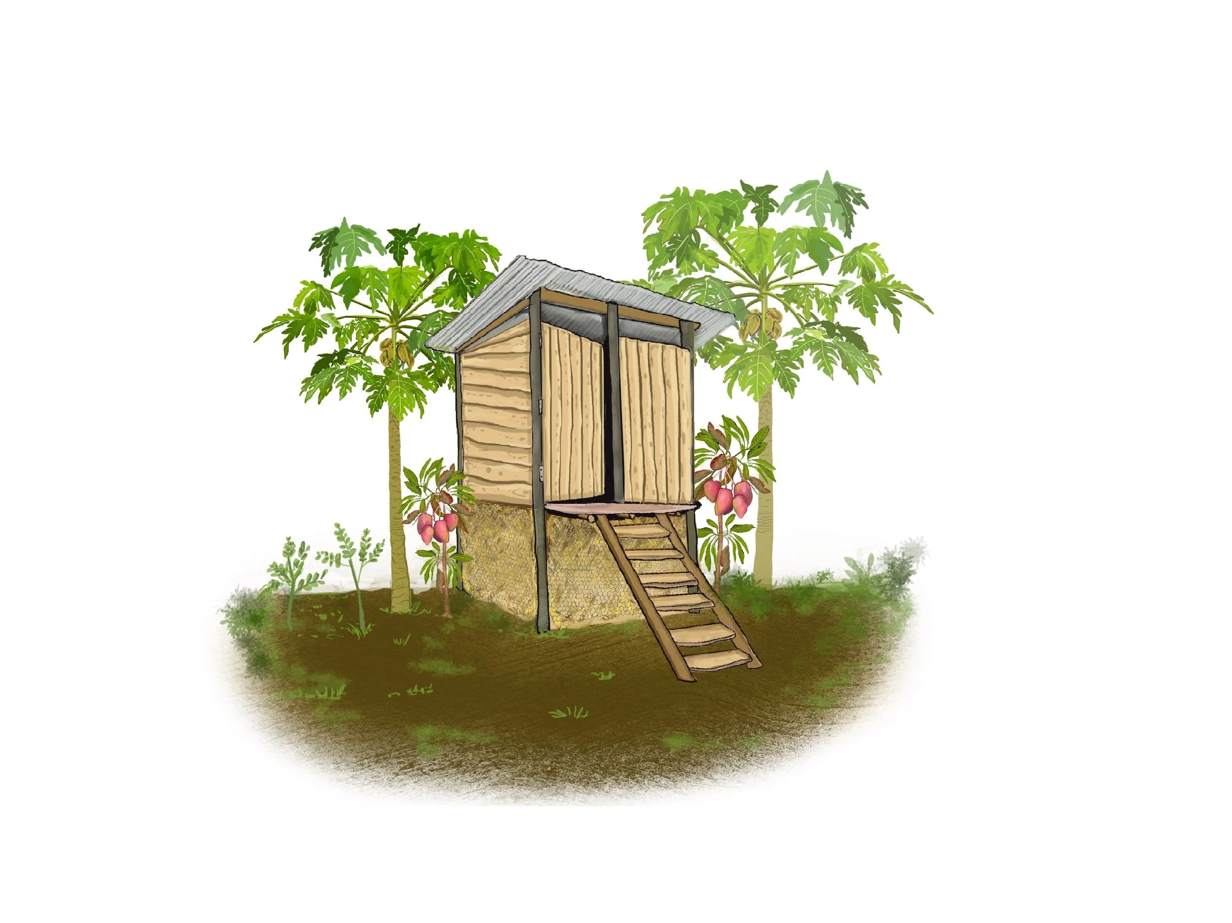 Ecosan toilet illustration