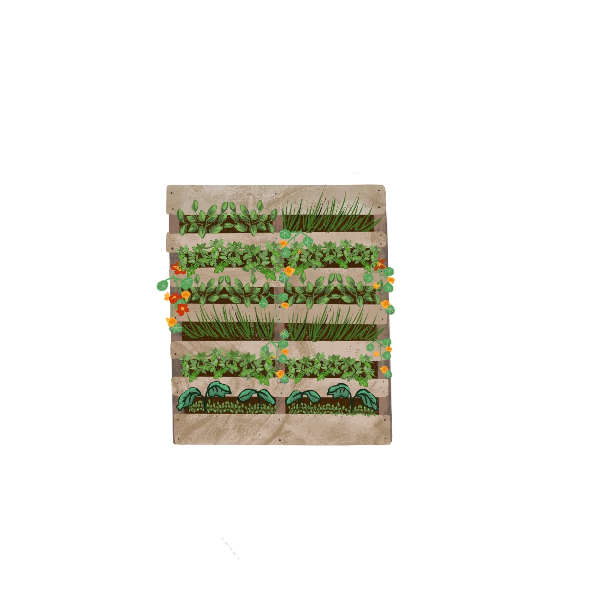 Pallet garden bed illustration