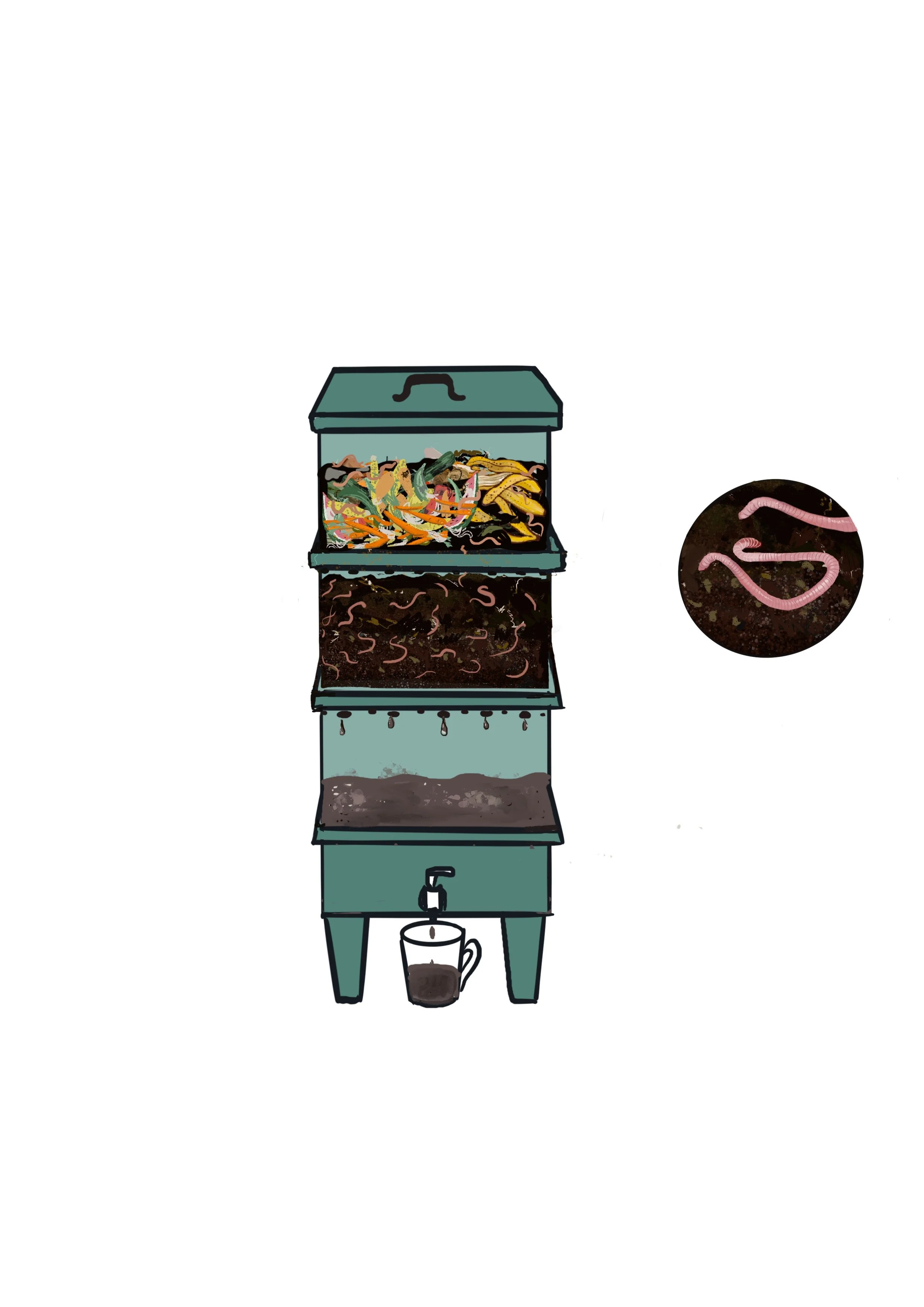Wormery illustration