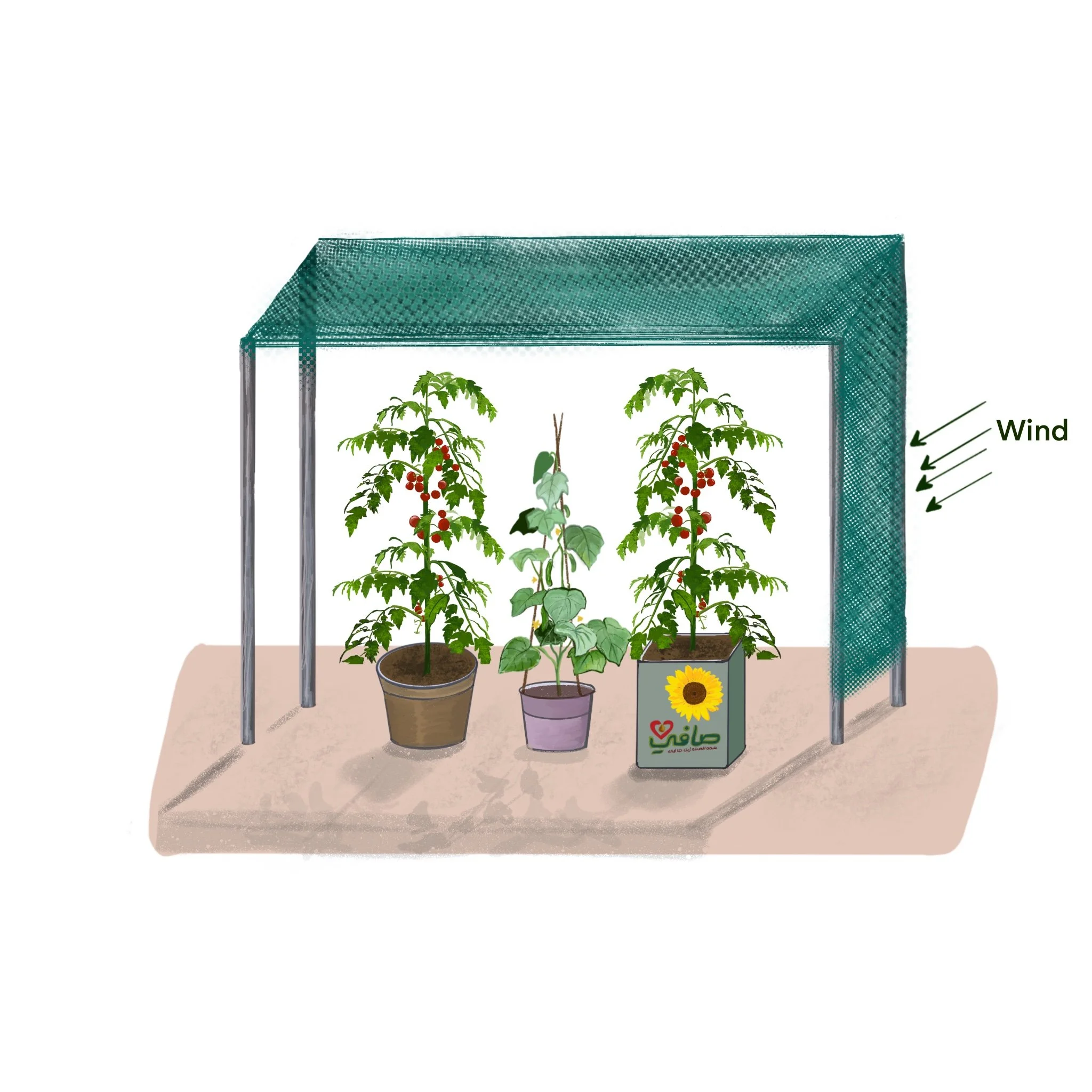 Plant shade illustration