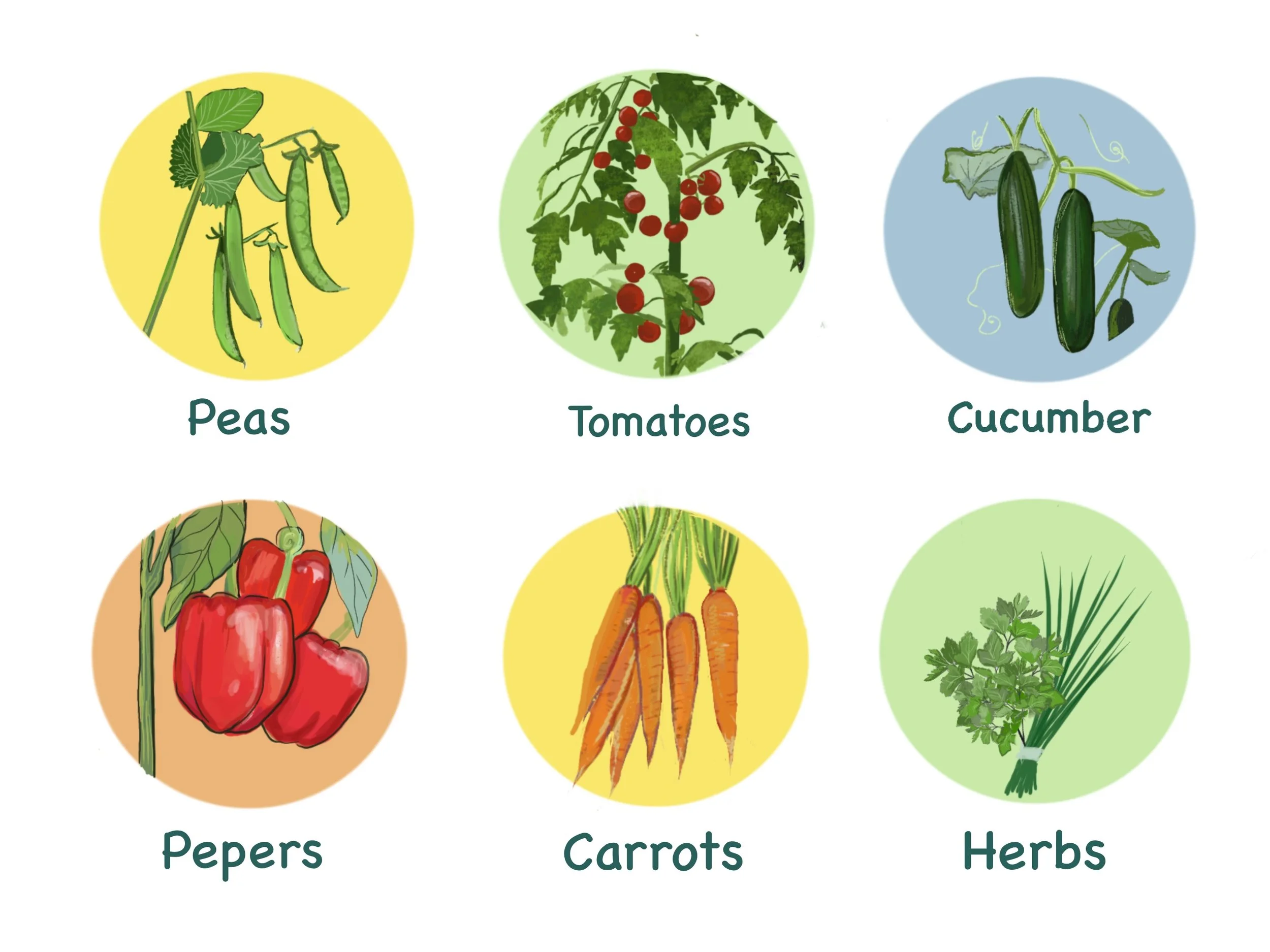 Harvesting catalog illustration 