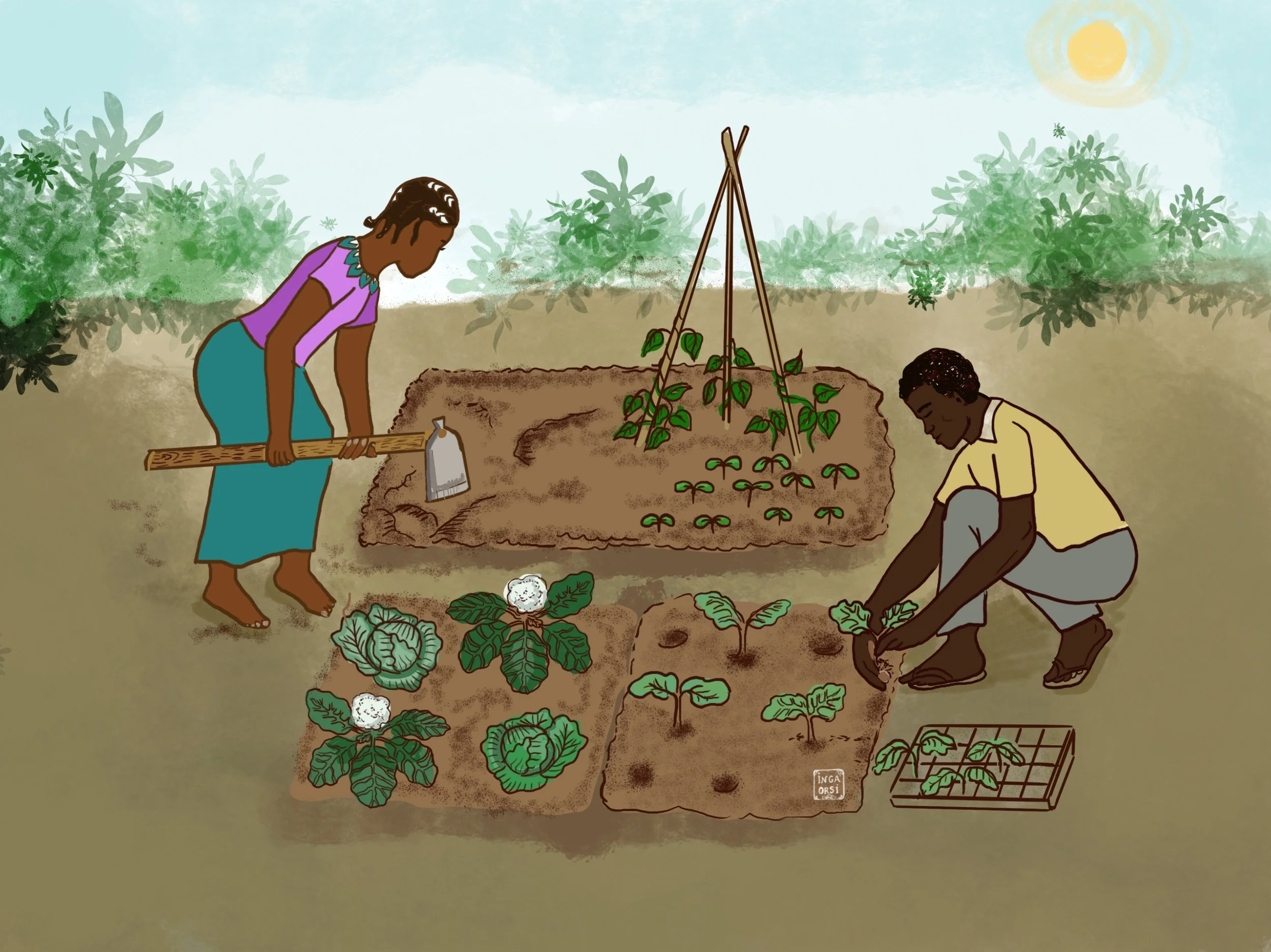 Coloured Ghanaian planting illustration