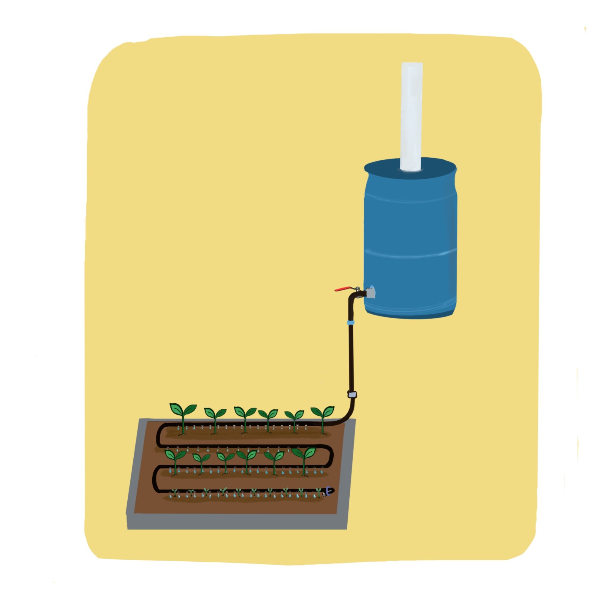 Barrel irrigation illustration