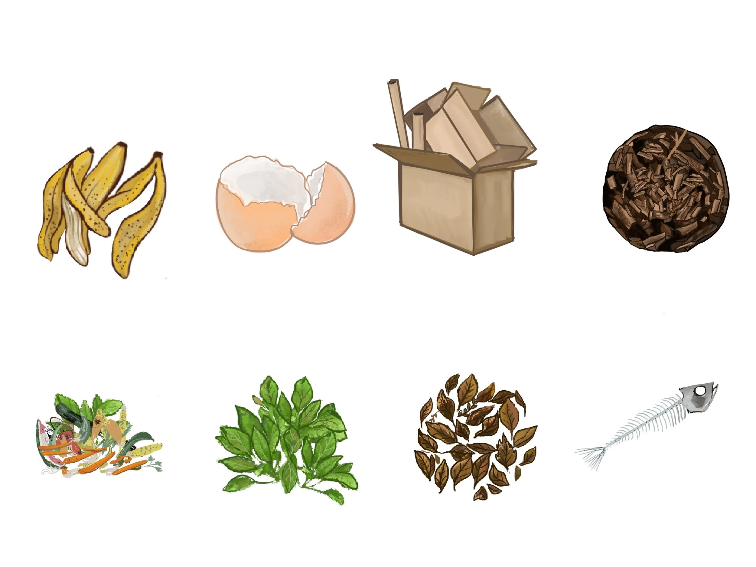 Compost materials illustration
