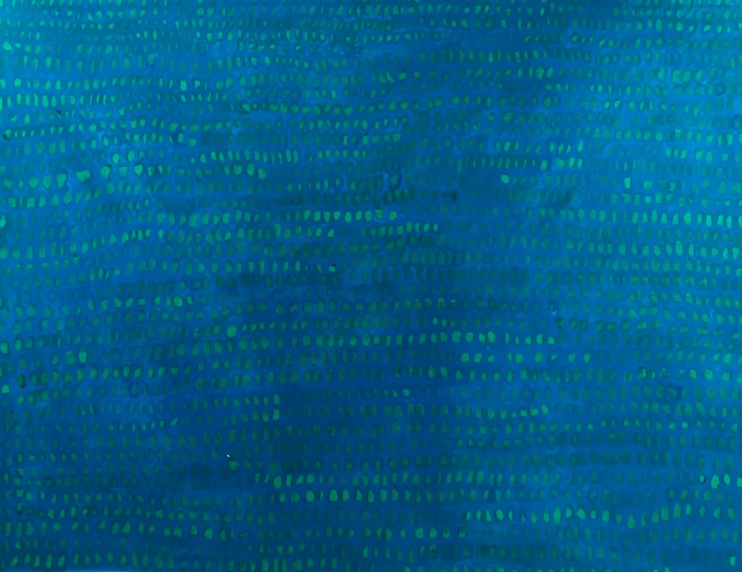 MF  03 Transparent Blue and Cobalt Green 
acrylic on paper 
70 x 100 cm 
28 x 40in