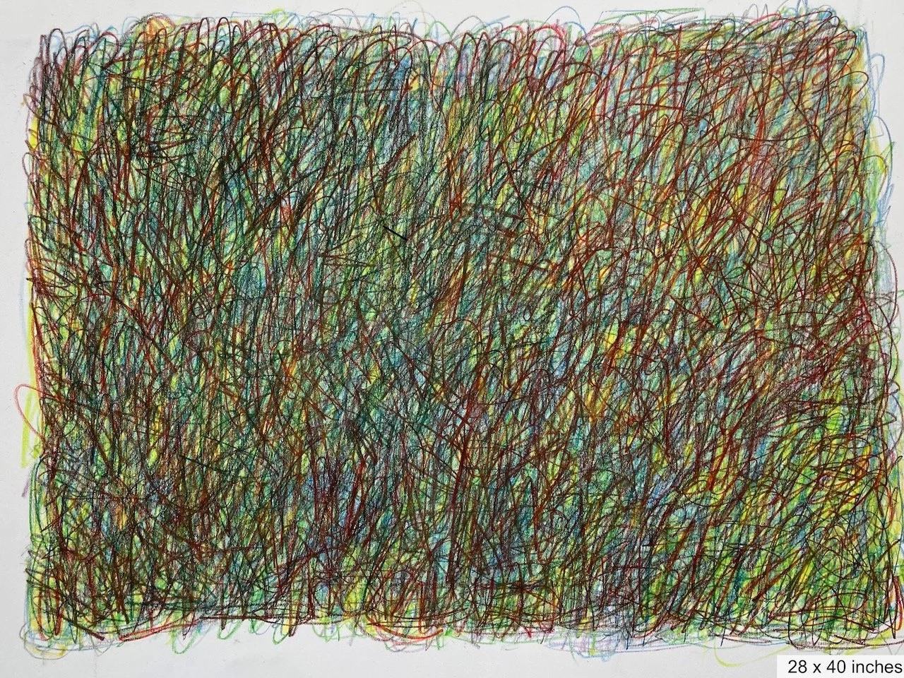 Composite Field 07, coloured pencil on archival paper, Georgina Read