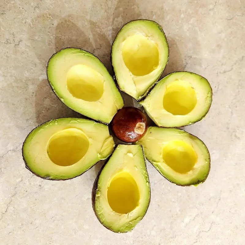 Today&rsquo;s first spotlight for the upcoming @moretonbayfarmtrail is on Harefield Horticulture. 

Jill and Martin are certified organic and grow avocados and tumeric. 

They will have lots of produce for sale so don&rsquo;t forget your carry bag fo