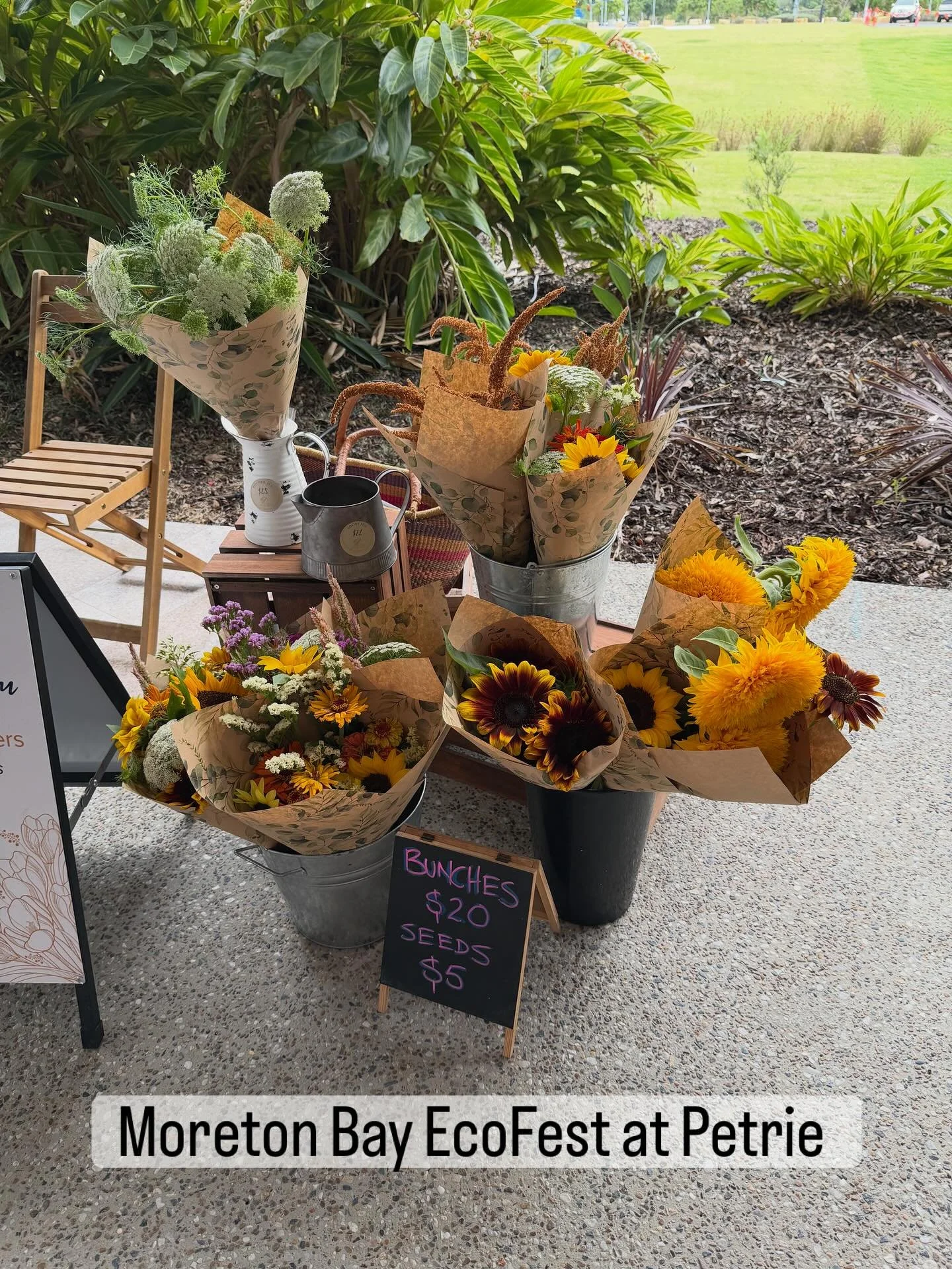 Out and about today at the Moreton Bay Ecofest at Petrie. @whatsonmoretonbay