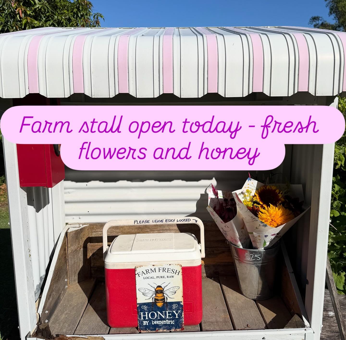 Farm stall open this weekend. Local honey from @beezentic and freshly picked field grown flowers.
