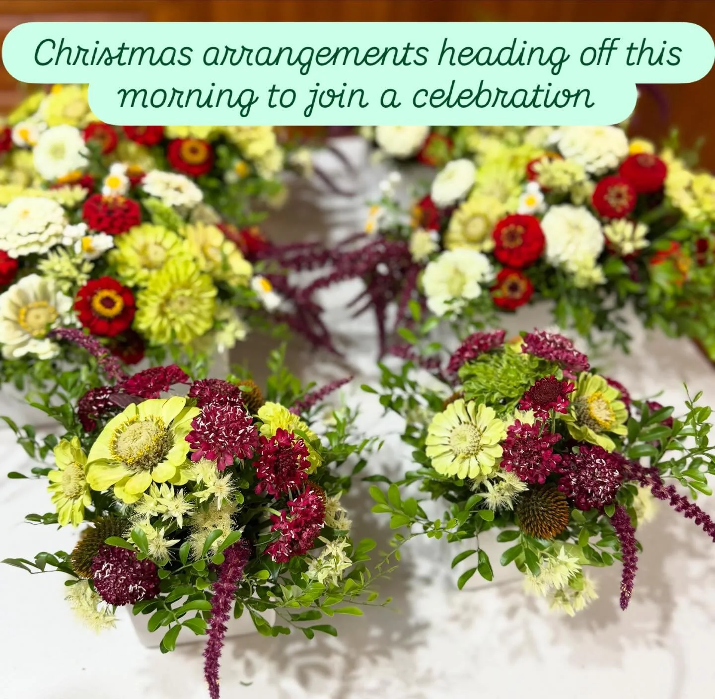Traditional Christmas colours in today&rsquo;s flowers.