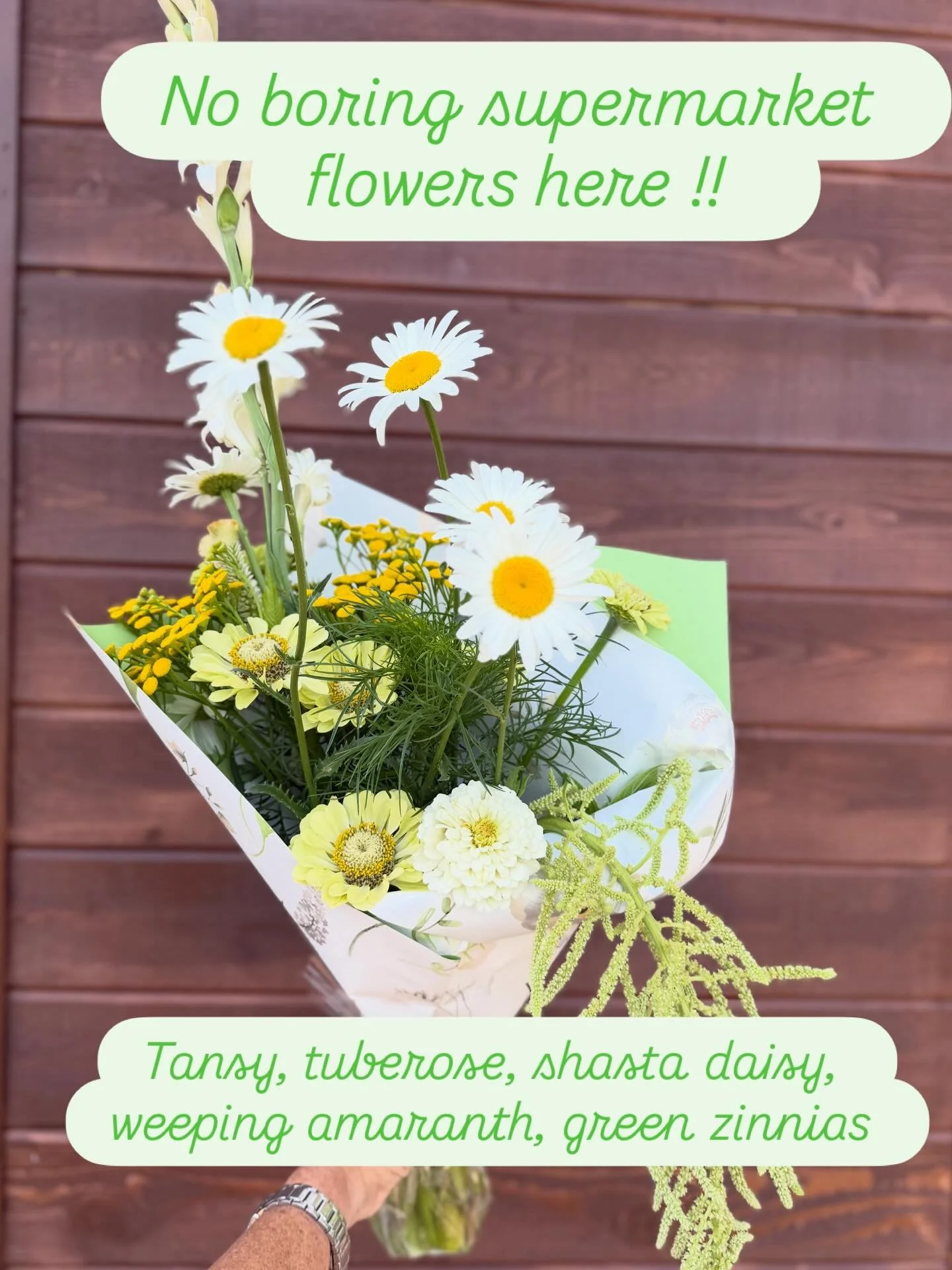 Local flower farms grow seasonal blooms that you can&rsquo;t find at your supermarket. They&rsquo;re also spray free and picked fresh. No travel miles on these babies! #flowerfarm #localblooms #moretonbayregion