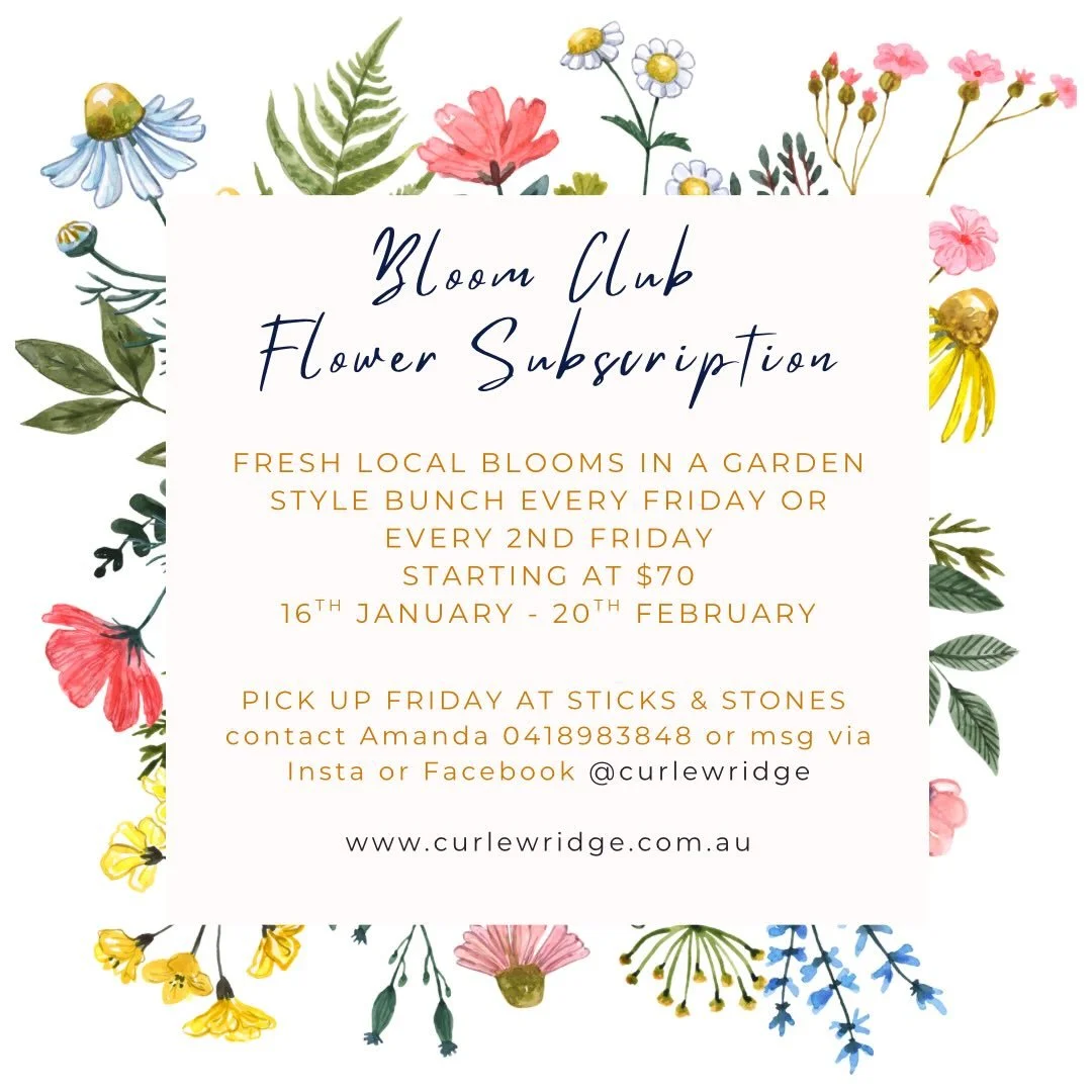 Get ready to bloom! Our club restarts next Friday with some exciting changes: Friday pick-ups, fortnightly options, and bigger bunches. Sign up on our website or through the link in bio.