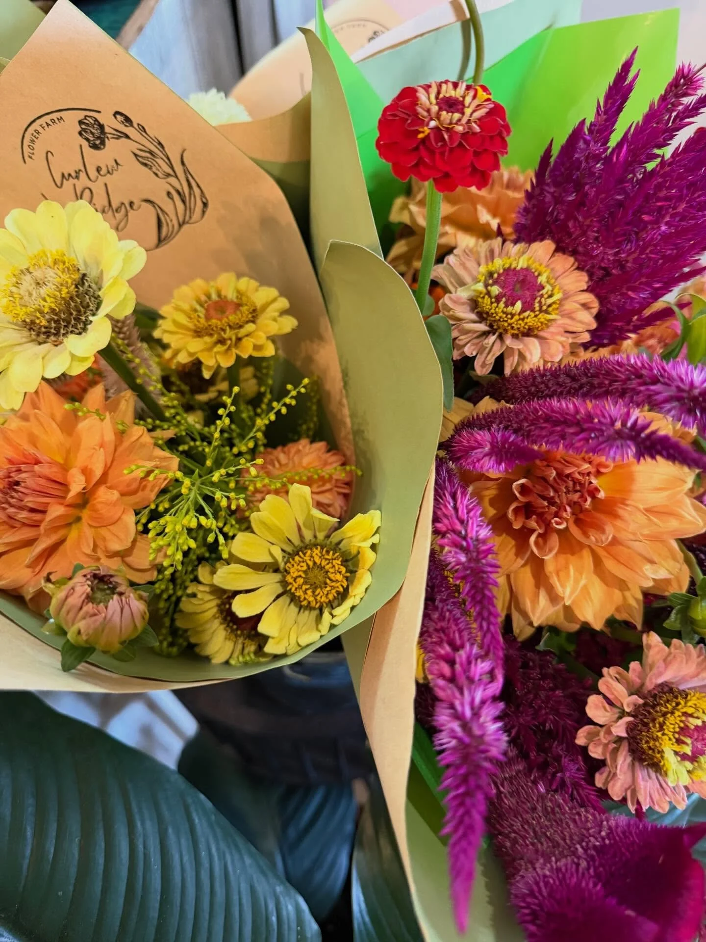 Back into weekly flower drops to town. You&rsquo;ll find fresh blooms @sticksandstonesespresso every Wednesday. And it&rsquo;s Wednesday Woodford !!