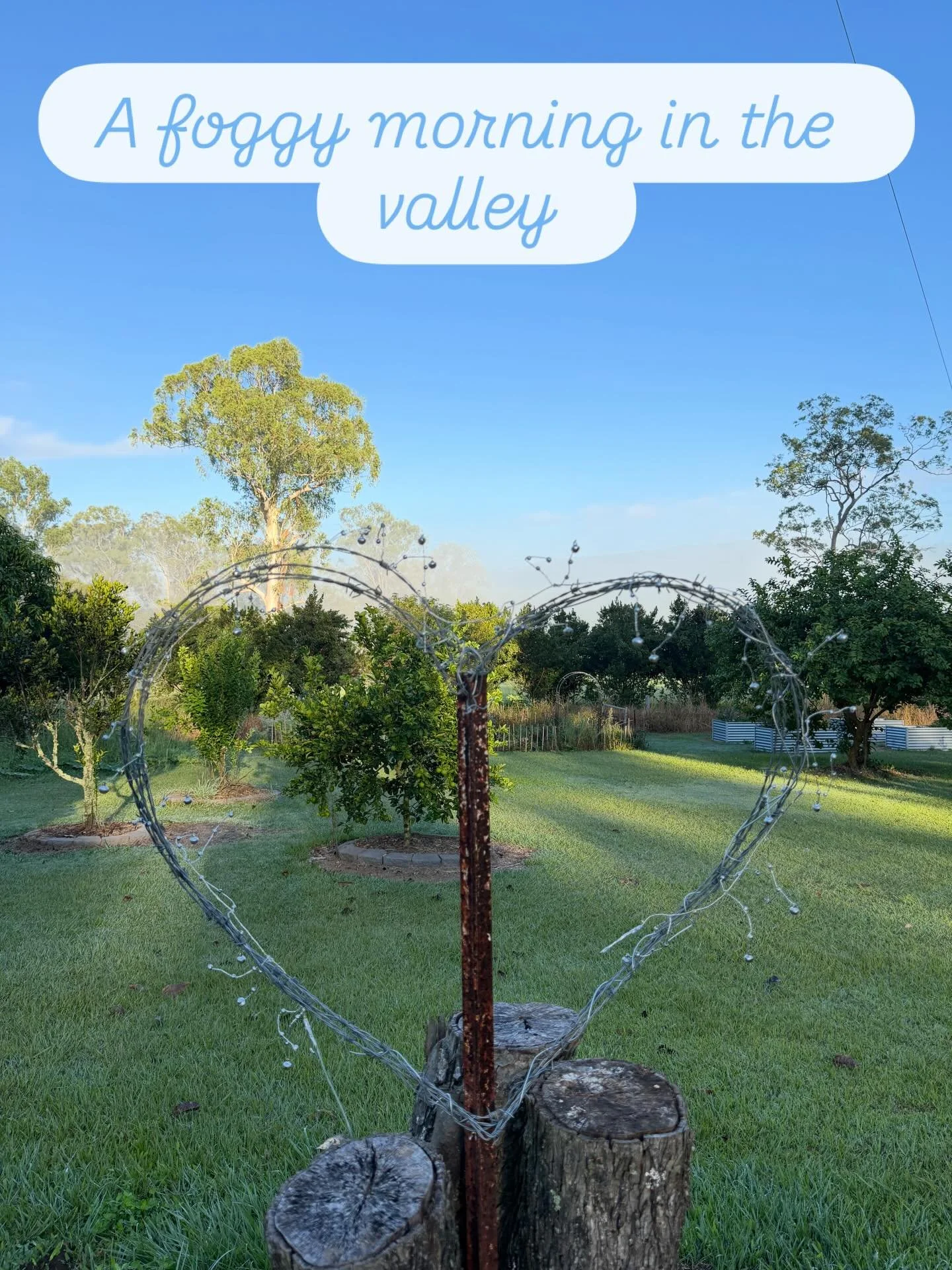 A foggy morning in the valley turned into glorious sunshine for our final PYO for February. Chatted so much I forgot to take photos. Our return guests are now friends 😊

It is so lovely to share our field with flower lovers 🩷💜🩷

#pickyourownflowe