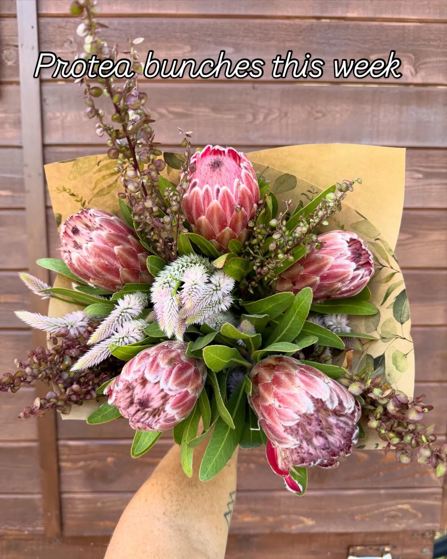 We have protea, celosia, &amp; orach mixed bunches for sale this week. I only have 5 like this. $40. Message me if you&rsquo;d like one otherwise I&rsquo;ll be in town around lunch tomorrow with the van.