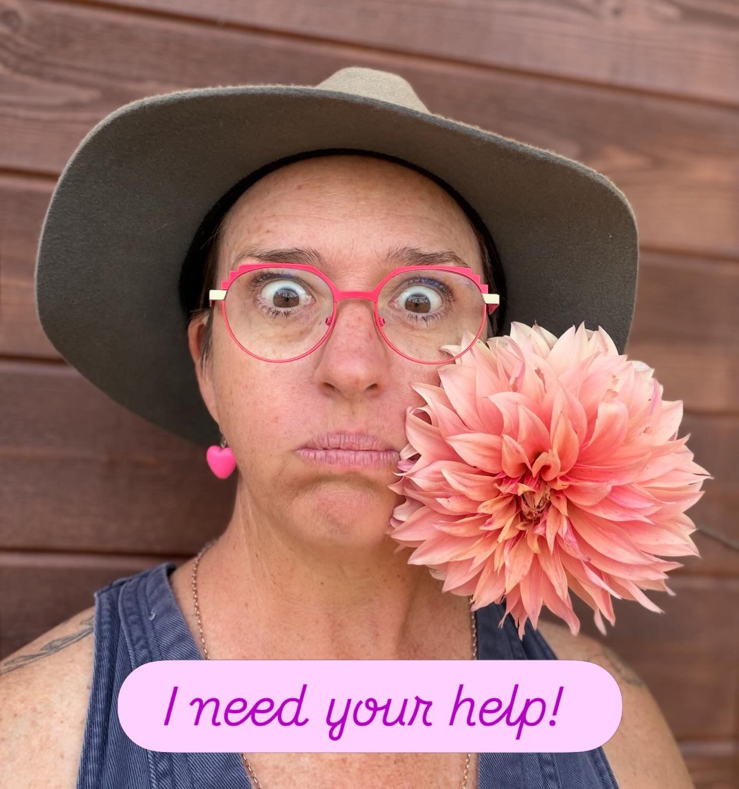 This is the face of dilemma!! No actually I&rsquo;m just after some feedback in relation to the Mother&rsquo;s Day weekend. We&rsquo;re going to open for a pick and picnic day and maybe a workshop but I&rsquo;m not sure which day people would prefer.