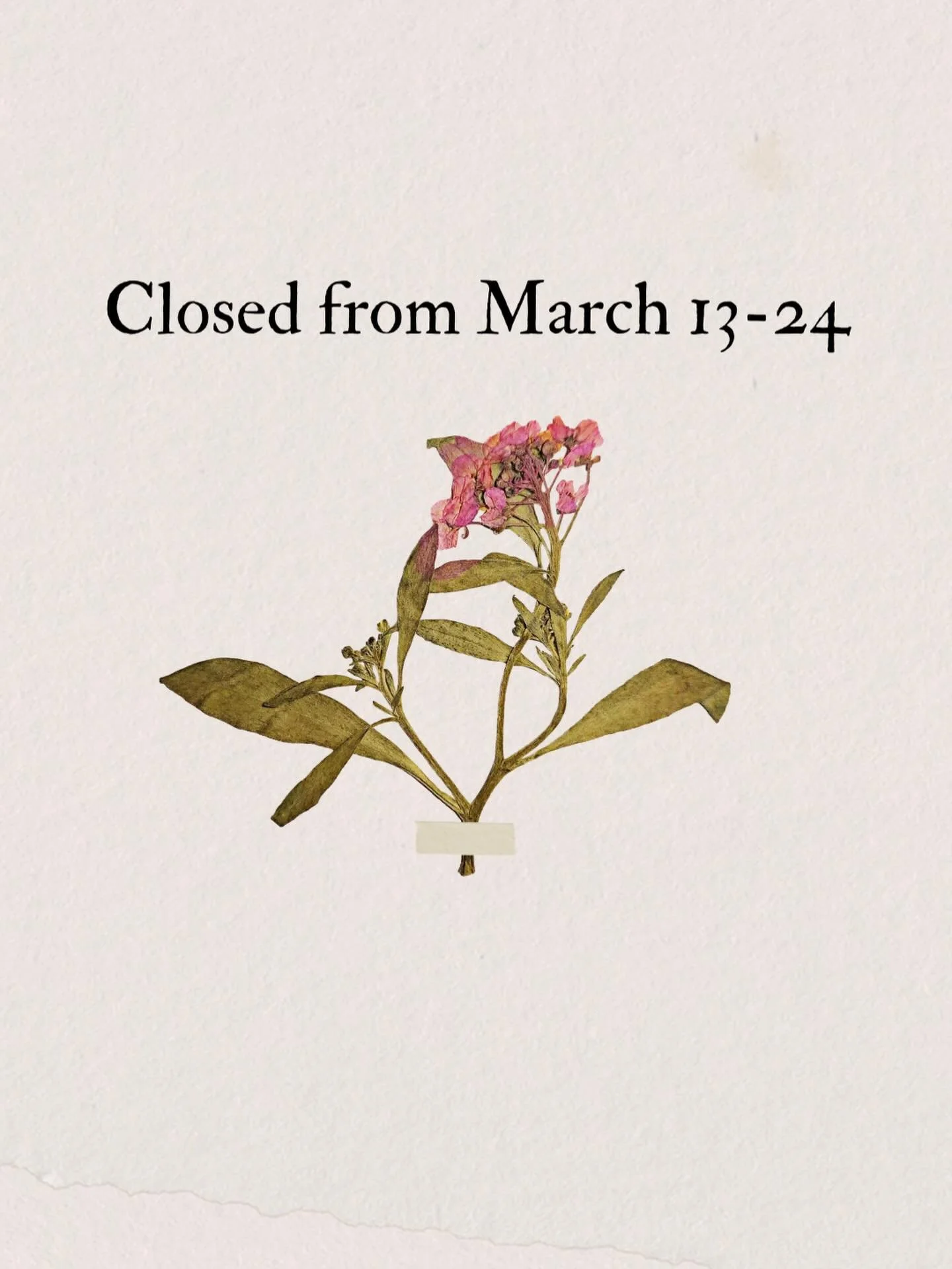 Curlew Ridge will be closed for a little over a week, from March 13-24. 

I&rsquo;m heading over to New Zealand to walk the Milford Track as a part of my celebrations for my 50th year around the sun.