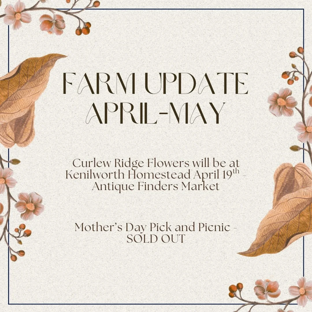 A little farm update for the coming weeks. 

We have a few photoshoot bookings over the coming weekends. Including a Mother&rsquo;s Day mini with @lizwilsonphotography on 26th April if you&rsquo;d love some family photos in the flowers.

We&rsquo;re 