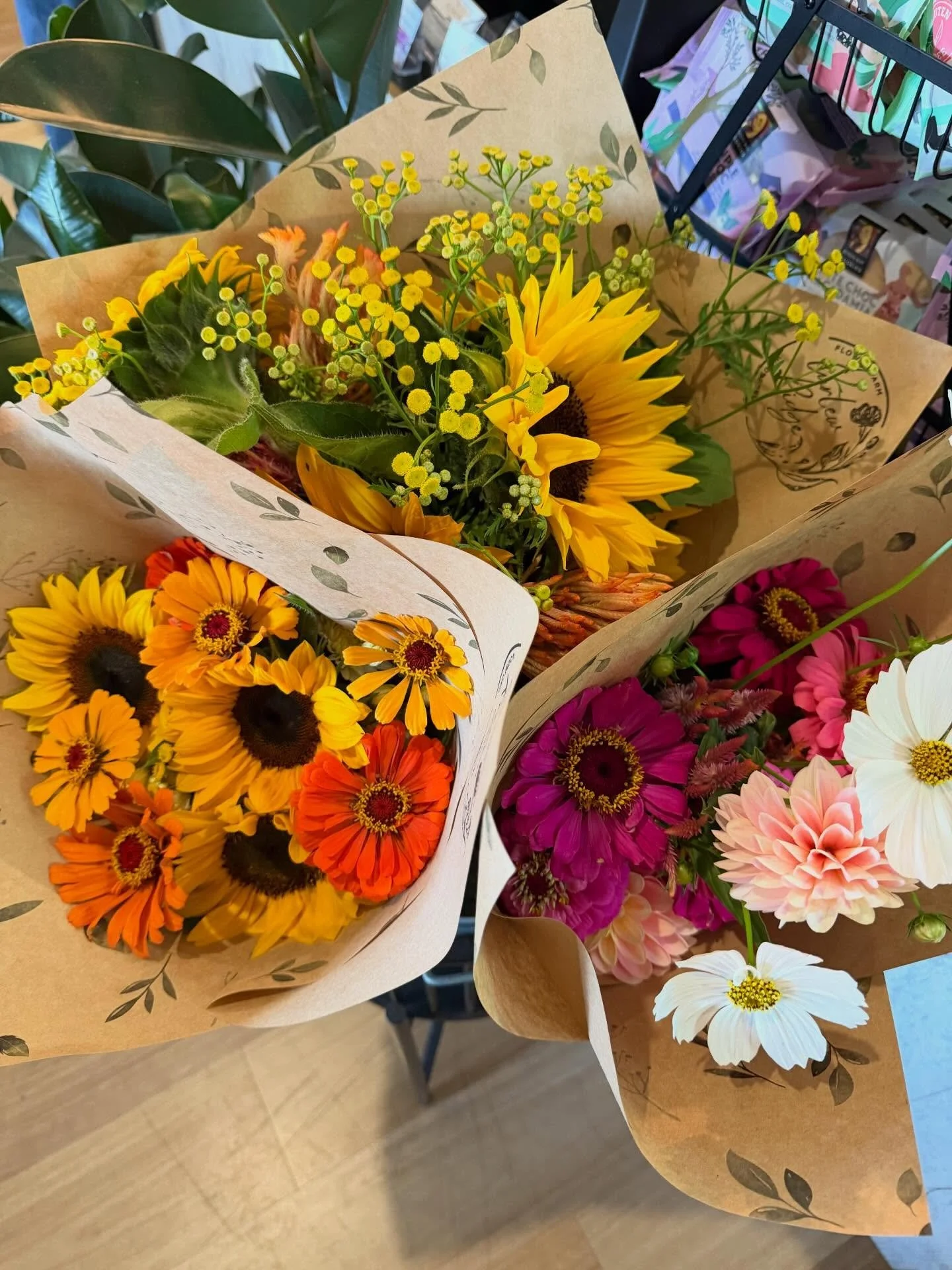 Fresh flower drop to @sticksandstonesespresso this morning. 

And It&rsquo;s Wednesday Woodford went straight to a local walking a whippet puppy because I just had to have a pat 🩷. 

Lots of sunflowers this week if you&rsquo;d like a bunch you can o