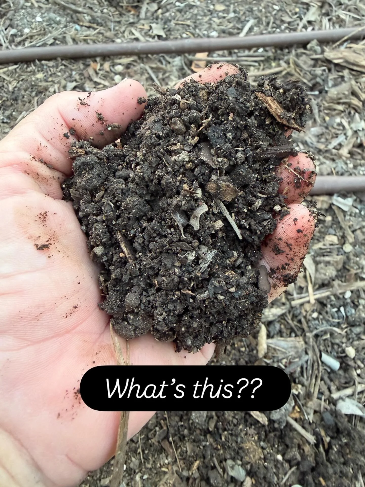 What&rsquo;s this?? The most important thing in my flower field. Not dirt&hellip; but soil. 

Today I caught up with Todd from @better.biology who has used his expert knowledge of soil science to interpret my latest soil test and tell me what I need 
