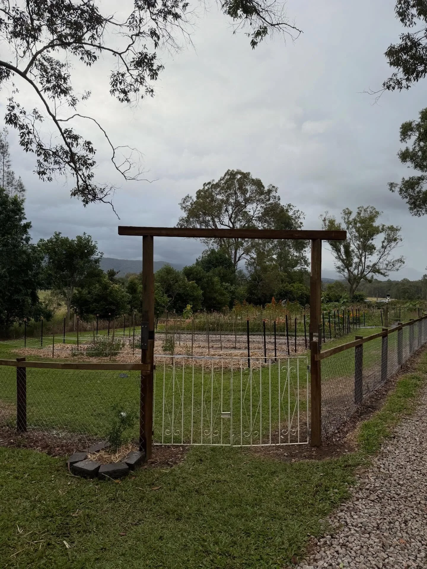 No flower field is really complete without an arched entry and a flowering climber. I love it already but will be adding some decoration. 

Thanks again to Fence It Contracting. 

#flowerfieldfence #fenceitcontracting