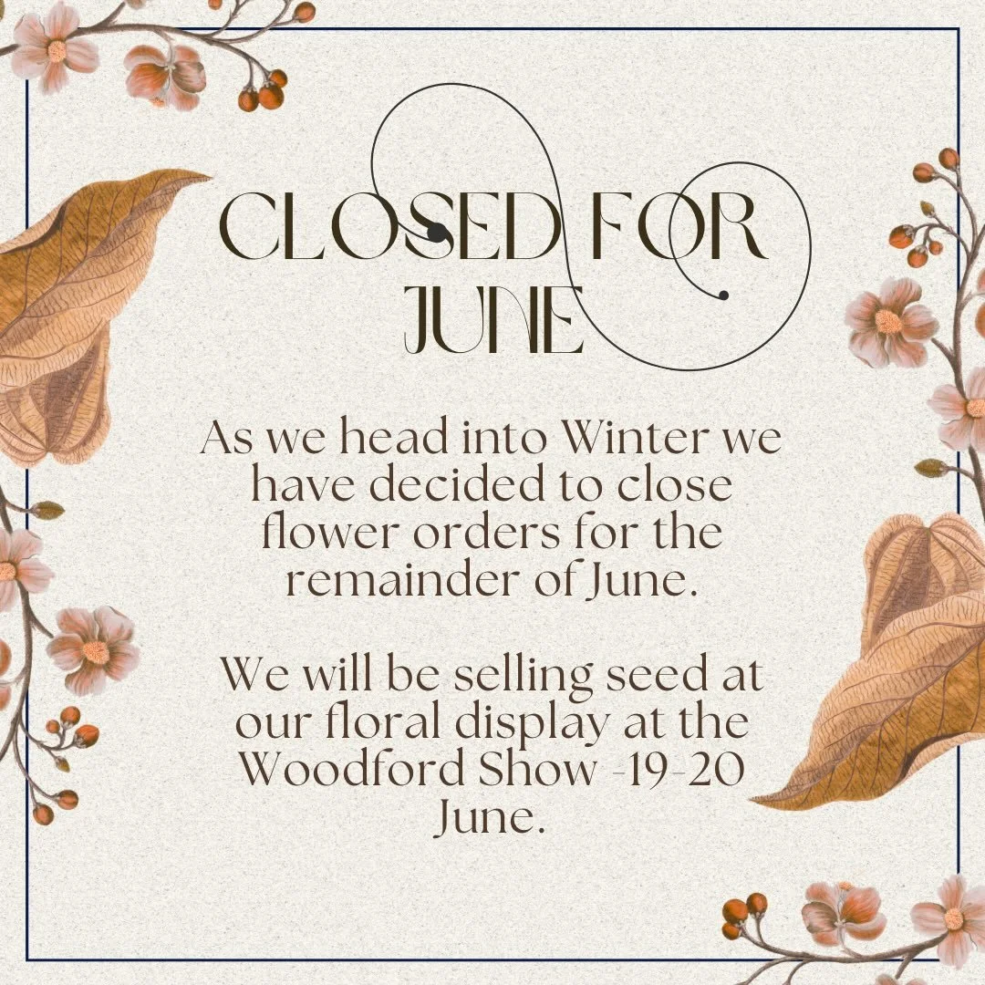 Flower numbers are low and we&rsquo;re busy with our winter jobs so we won&rsquo;t be taking flower orders for the rest of June. 

We will be at the @woodford_show this year selling our open field pollinated seed at our floral display. June 19-20. Se