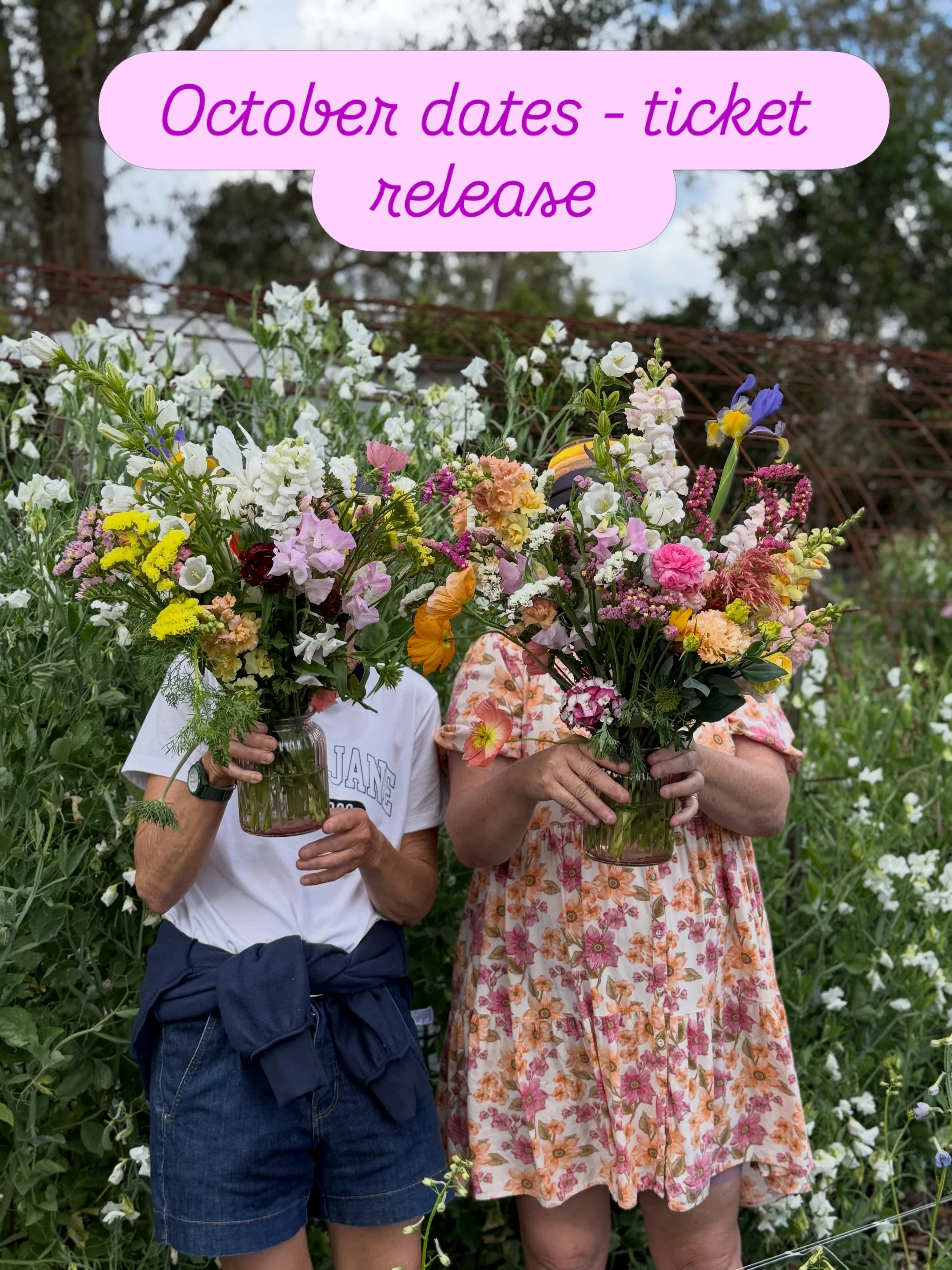 Heaps more flowers than I anticipated!!! More tickets have been added to our October dates for our pick your own mornings. 

We&rsquo;d love to see you here if you&rsquo;ve been looking for a lovely morning in the flower field. 

#pickyourownflowers 