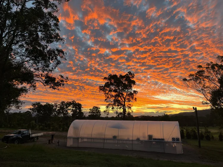 Our Story — Curlew Ridge Farms