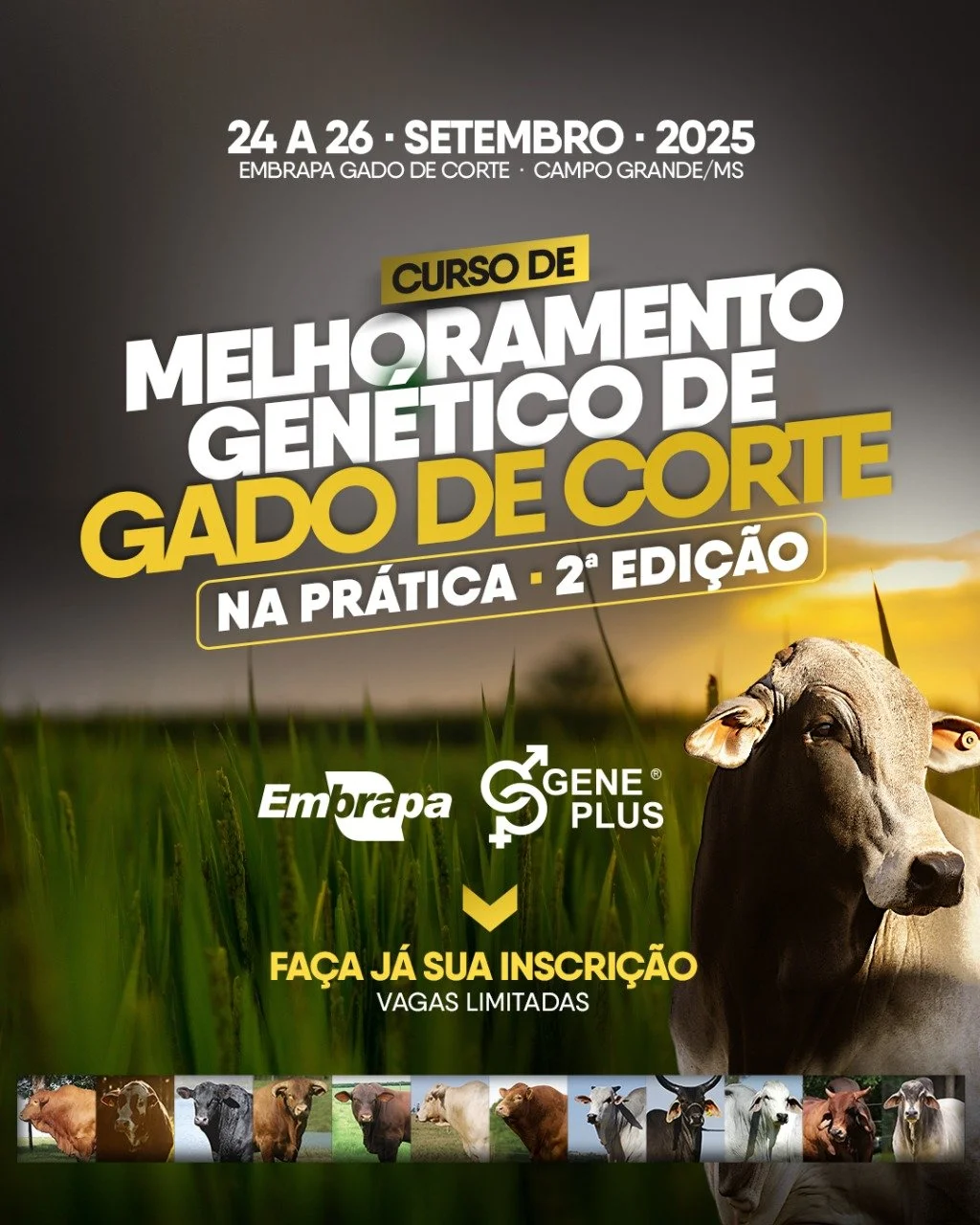 Curso: Melhoramento Genético de Gado de Corte na Prática