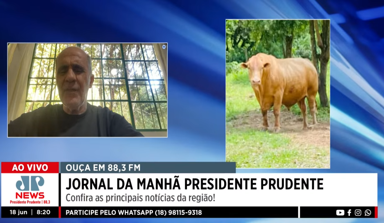 Caracu na FEICORTE 2026: carne premium e lucro no cruzamento