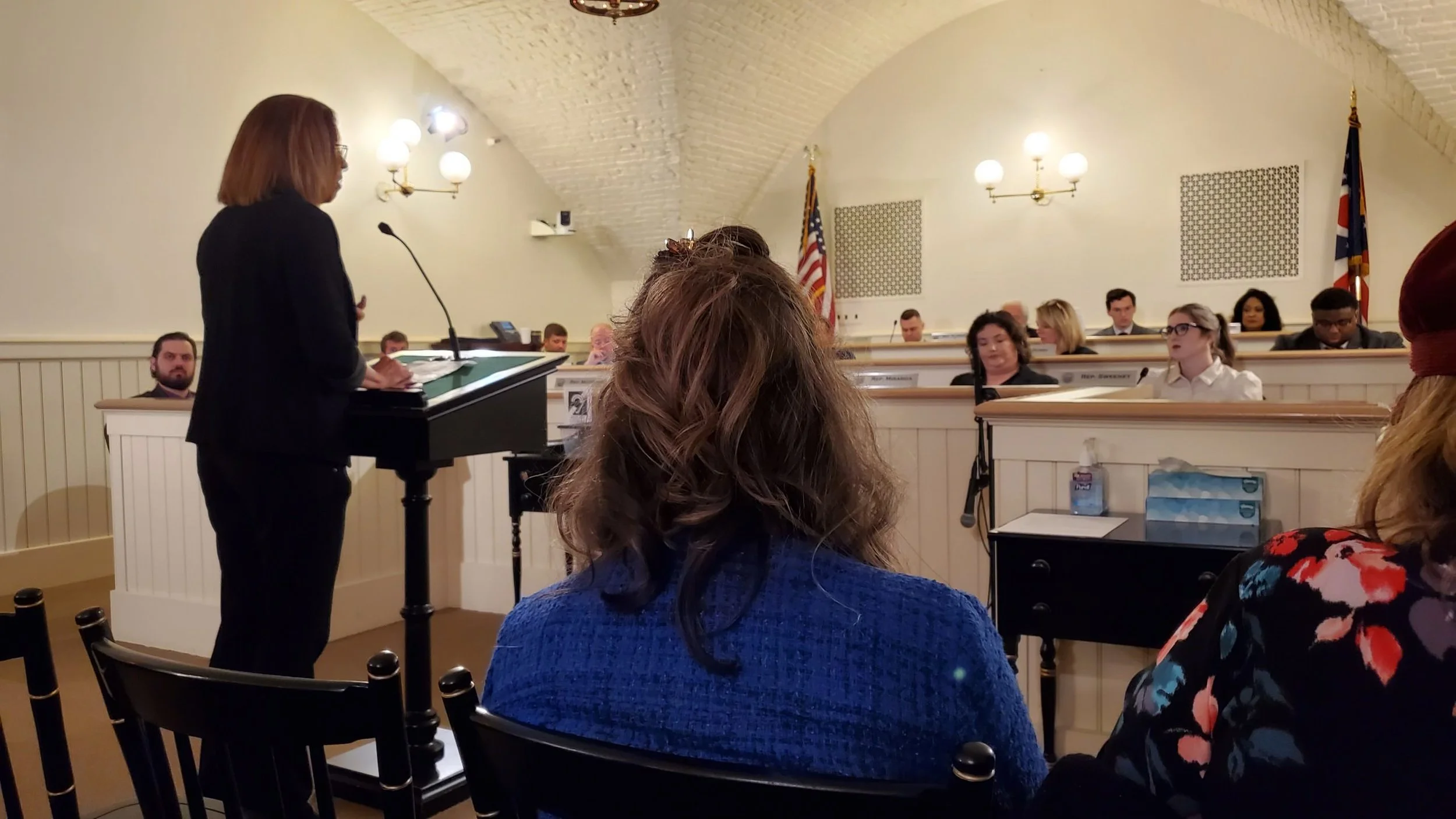 Labor Testifies Against SJR2/HJR1, An Attack On One Person, One Vote