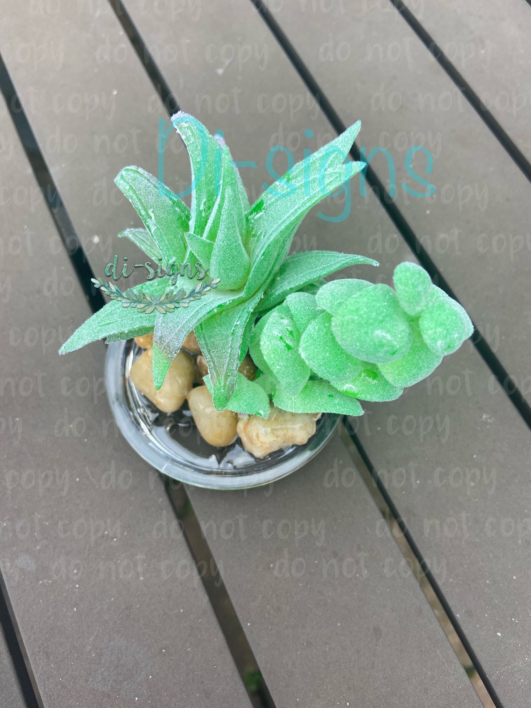 https://i.etsystatic.com/6342077/r/il/b4e3ad/3926624604/il_fullxfull.3926624604_8h4o.jpg